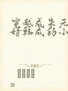 穿越成朱元璋女婿韩成的小说封面