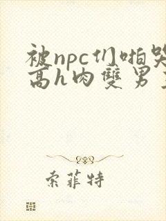 被npc们啪哭高h肉双男主小说封面