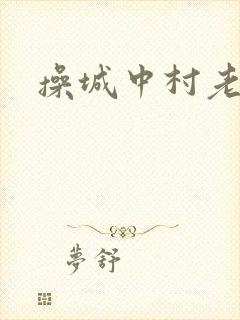 操城中村老熟妇