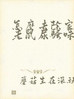 怎么去除家里的老鼠尿骚味封面