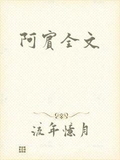 阿宾全文