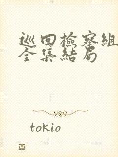 巡回检察组43全集结局