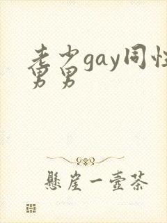 老少gay同性男男