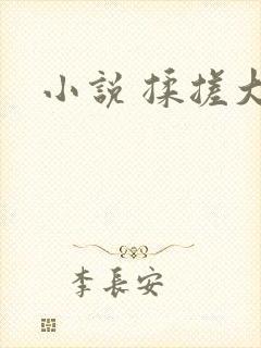 小说 揉搓大奶封面