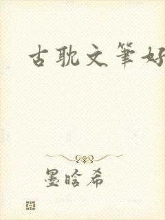 古耽文笔好生子