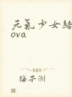 元气少女结缘神ova