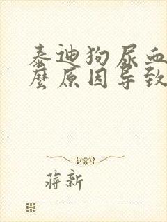 泰迪狗尿血是什么原因导致的