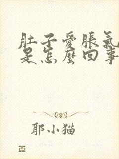 肚子爱胀气放屁是怎么回事封面