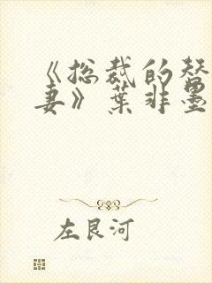 《总裁的替身前妻》叶非墨