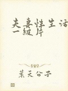 夫妻性生活特黄一级片