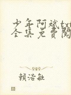 少年阿斌txt全集免费阅读
