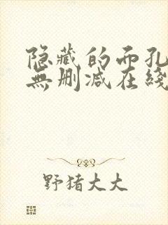 隐藏的面孔韩国无删减在线观看