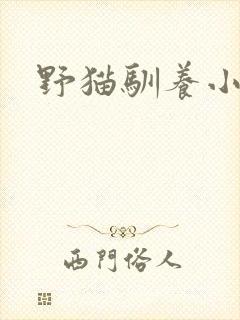 野猫驯养小说