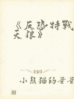 《反恐特战队之天狼》