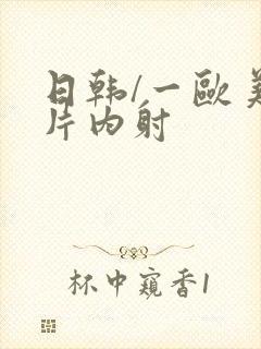 日韩/一欧美p片内射