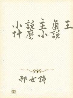 小说主角王涛是什么小说