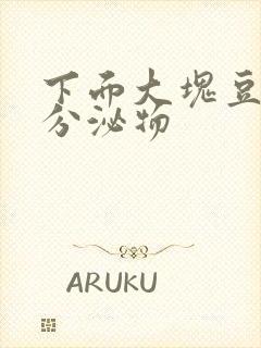 下面大块豆腐渣分泌物