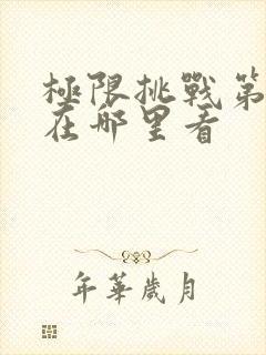 极限挑战第十季在哪里看