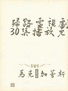 归路电视剧全集30集播放免费观看