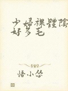 少妇裸体阴道上好多毛