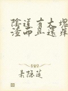 阴道有大块豆腐渣而且还痒是怎么回事