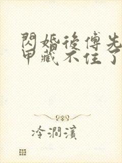 闪婚后傅先生马甲藏不住了全文免费阅读封面