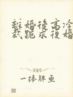 离婚后高冷女总裁跪求复婚