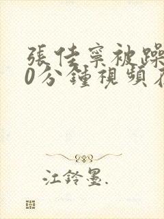 张佳宁被躁120分钟视频在线观看