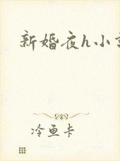 新婚夜h小说封面