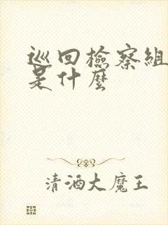 巡回检察组结局是什么