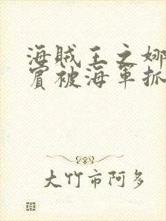 海贼王之娜美罗宾被海军抓住