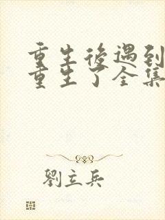 重生后遇到你也重生了全集