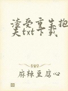 渣受重生抱紧前夫txt下载封面