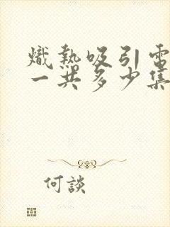 炽热吸引电视剧一共多少集