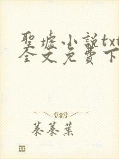 圣墟小说txt全文免费下载封面