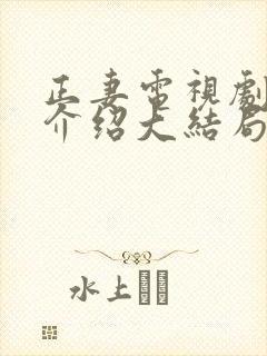 正妻电视剧剧情介绍大结局