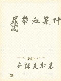 尿带血是什么原因