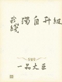 我独自升级2在线