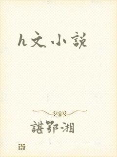 h文小说