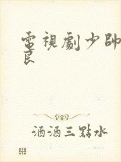 电视剧少帅张学良