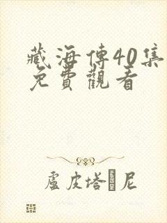 藏海传40集版免费观看