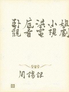 卧底洪小姐免费观看电视剧