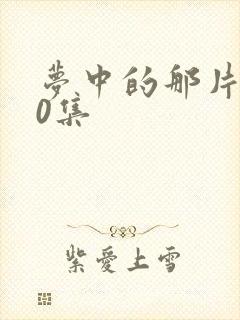 梦中的那片海40集