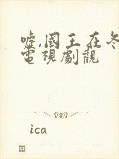 嘘,国王在冬眠电视剧观