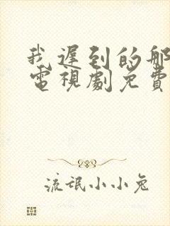 我迟到的那些年电视剧免费观看高清