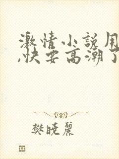 激情小说用力插,快要高潮了封面