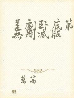 美剧卧底第一季无删减版封面