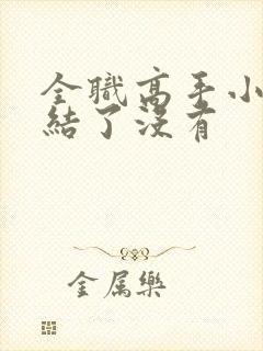 全职高手小说完结了没有封面