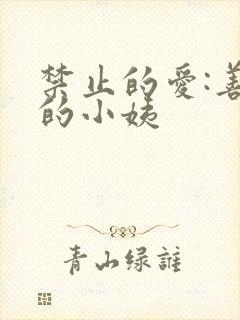 禁止的爱:善良的小姨