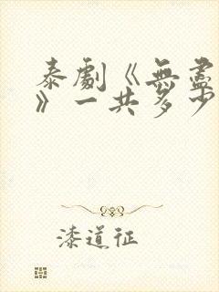 泰剧《无尽情爱》一共多少集